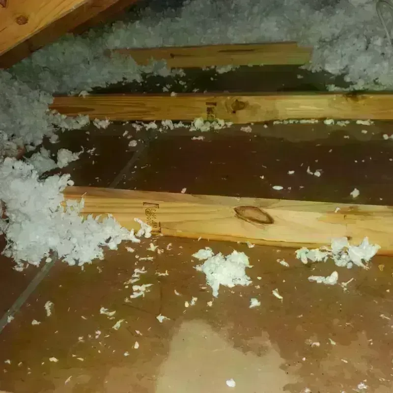 Attic Water Damage in Ridgely, TN